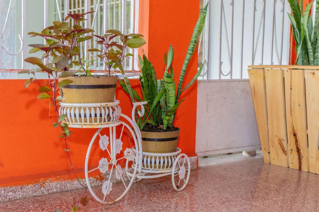 Hostal Familiar Argeñal David Exterior foto